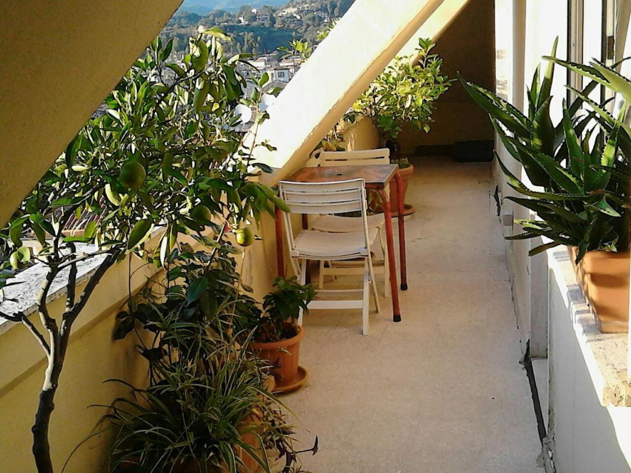 Bed and Breakfast A Casa Di Lola Ascoli Piceno Exteriér fotografie